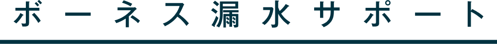 ボーネス漏水サポート